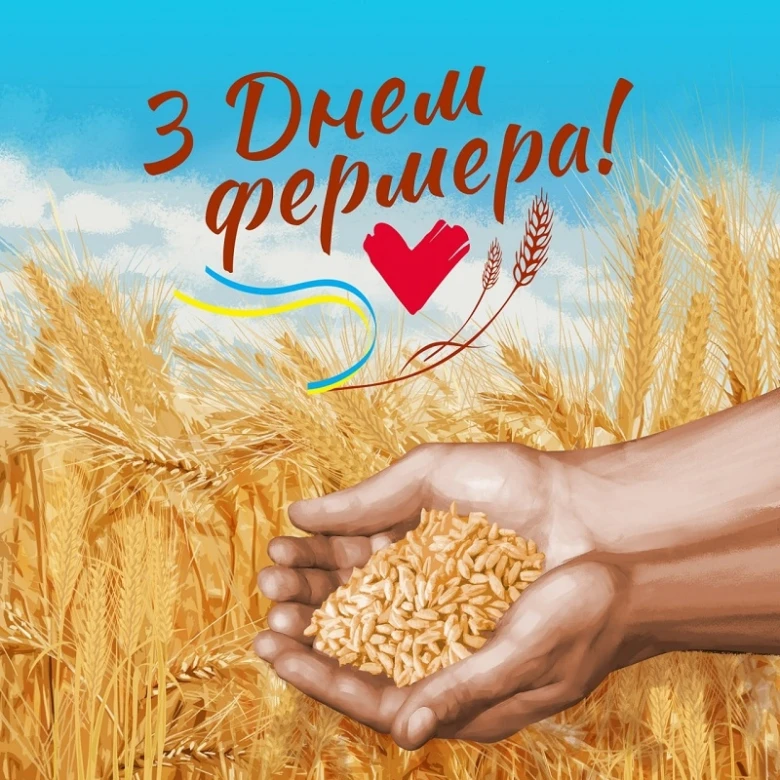 Вітаємо фермера з Днем фермера! Рука тримає зерно на полі.