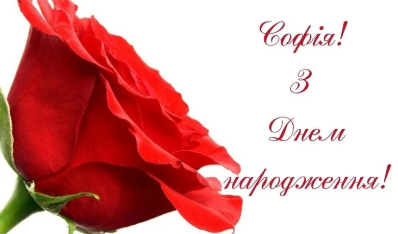 Червона троянда з привітанням Софія з днем народження