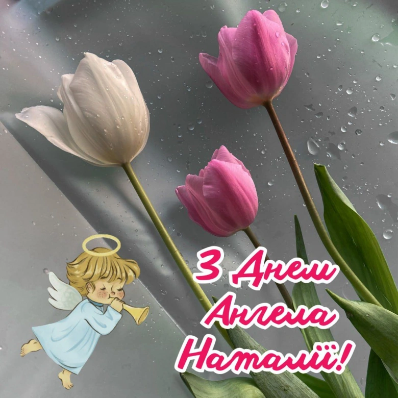 Тюльпани, ангел та привітання з днем Ангела Наталії
