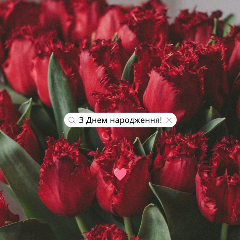 Червоні тюльпани з привітанням на день народження українською.