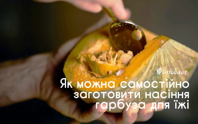 Людина вибирає насіння гарбуза з плоду