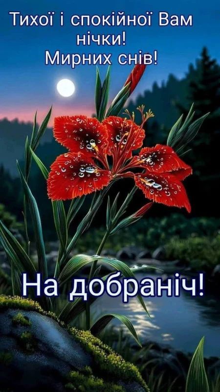 Червона квітка на ночному фоні з місяцем та річкою.