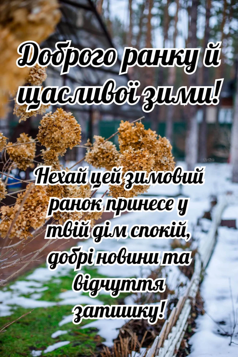 Зимовий ранок з квітами та побажаннями миру