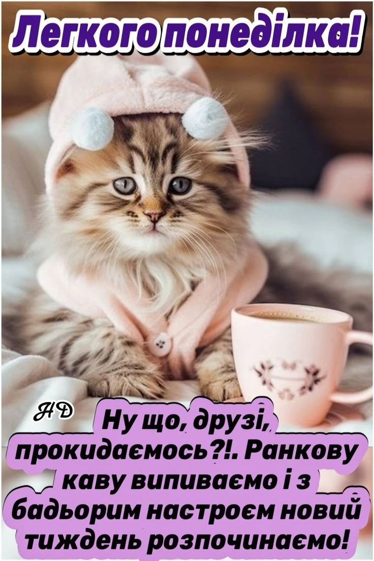Кіт у рожевому капелюшку з чашкою кави для гарного понеділка!