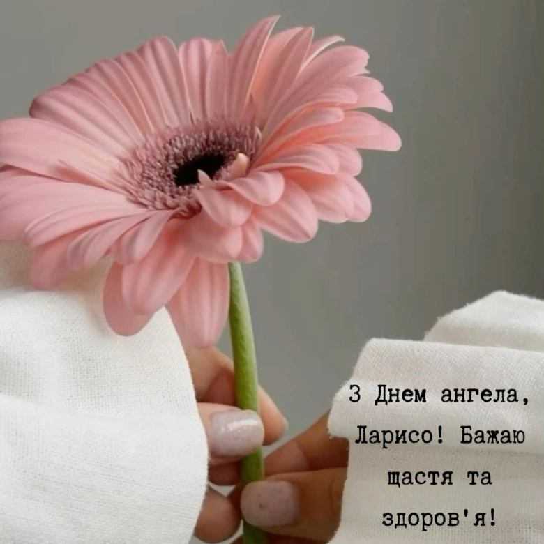 Розовий квітка та привітання Ларисо з днем ангела