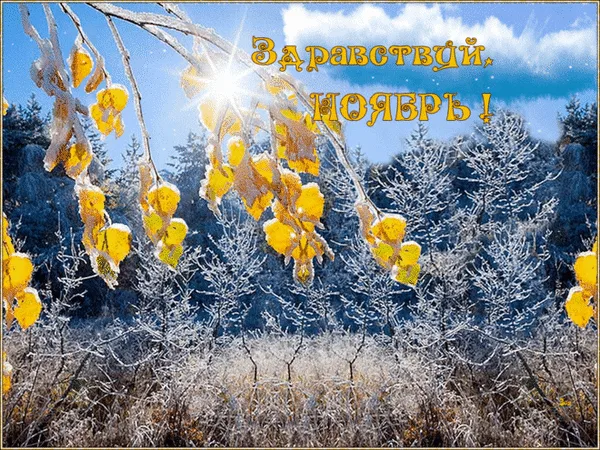Осінній пейзаж із жовтими листям та морозом на фоні лісу.