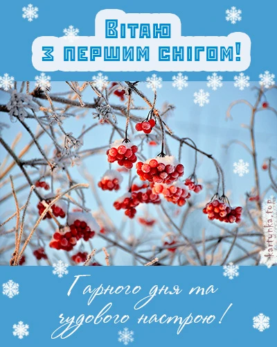 Вітаю з першим снігом! Гарного дня та чудового настрою!