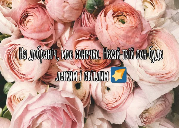 Розові троянди з побажанням гарного сну українською.