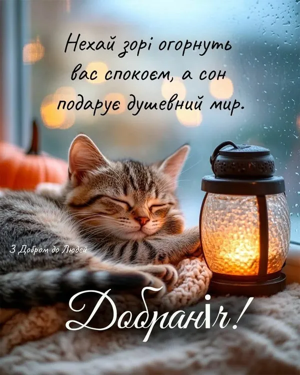 Сплячий кіт поруч із свічкою під дощем