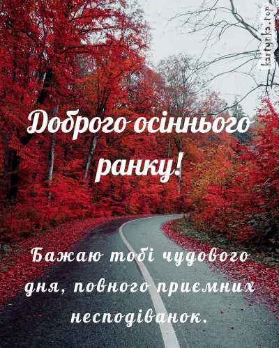 Осення дорога з червоними деревами та привітанням українською.